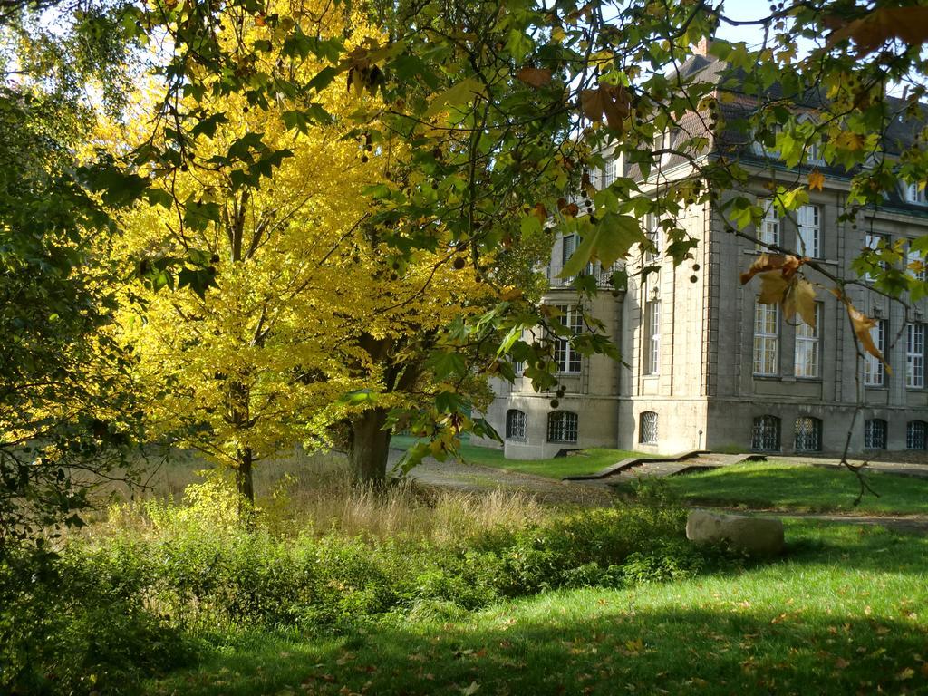 Jagdschloss-Bellin Bellin  Luaran gambar