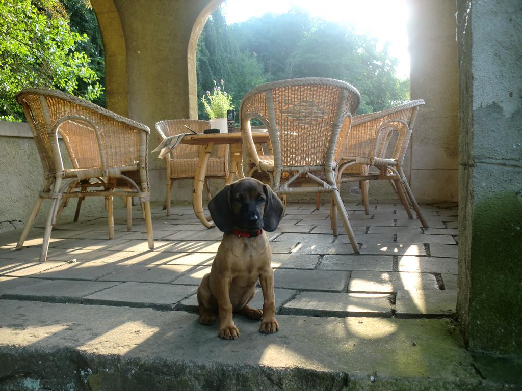 Jagdschloss-Bellin Bellin  Luaran gambar